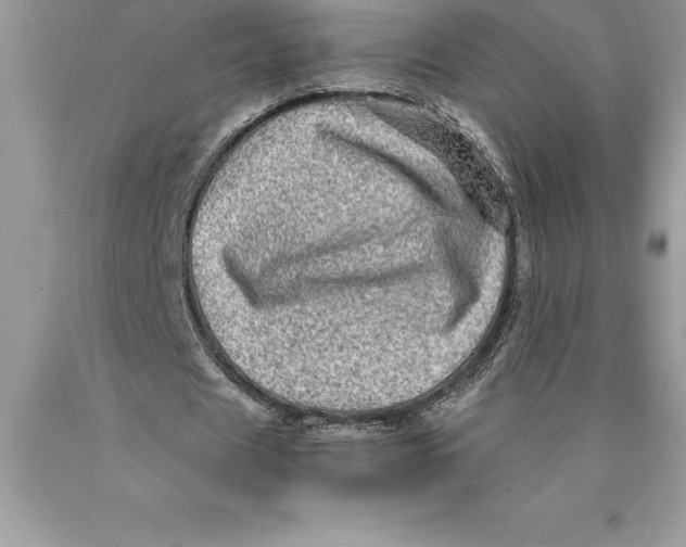 X0000089970625200707271922