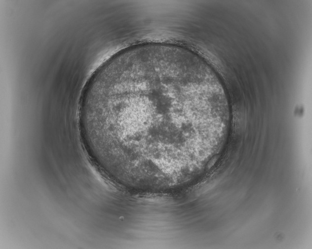 X0000089970626200707271922