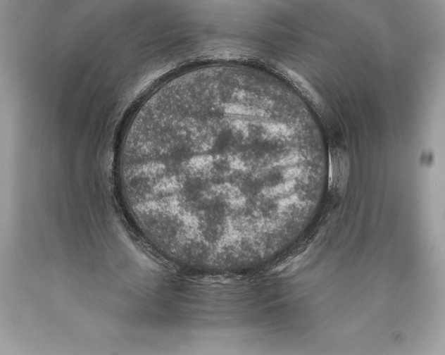 X0000089970627200707271922