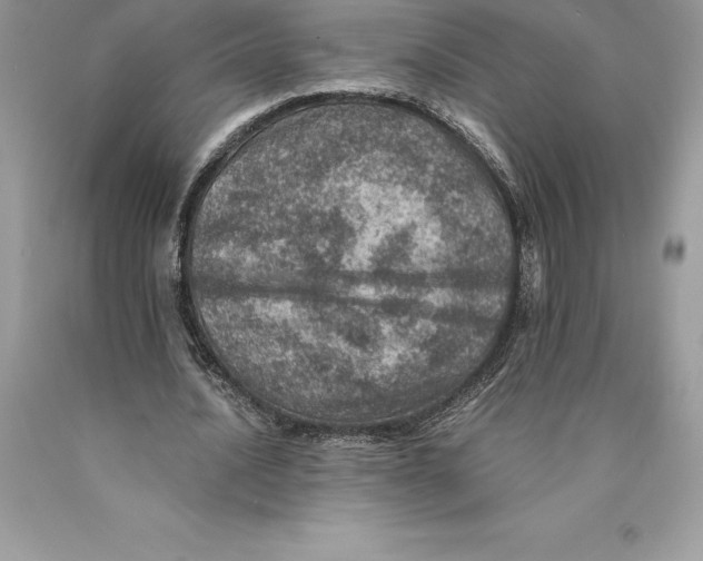 X0000089970628200707271922