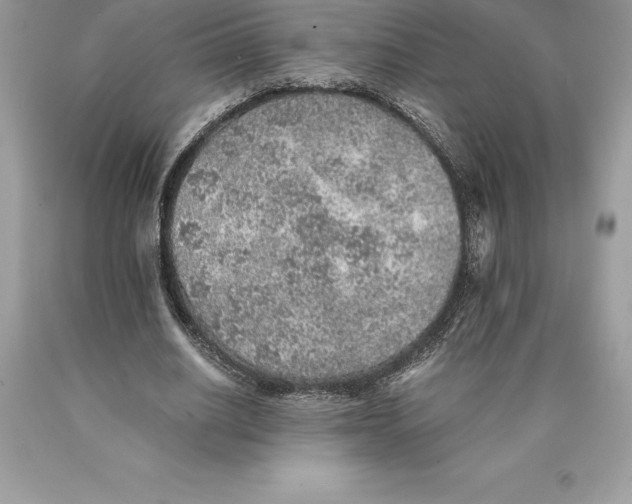 X0000089970630200707271922