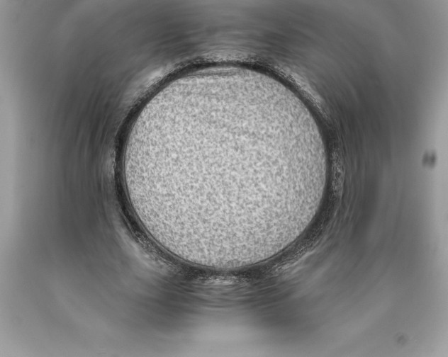 X0000089970631200707271922