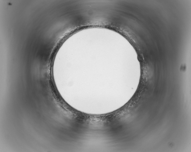 X0000089970632200707271922