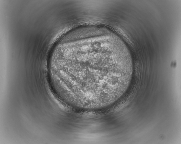 X0000089970634200707271922