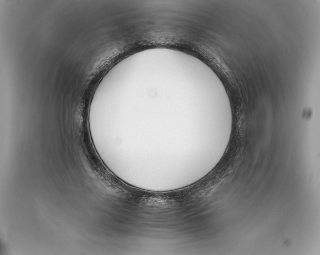 X0000089970635200707271922