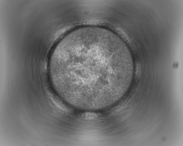 X0000089970636200707271922