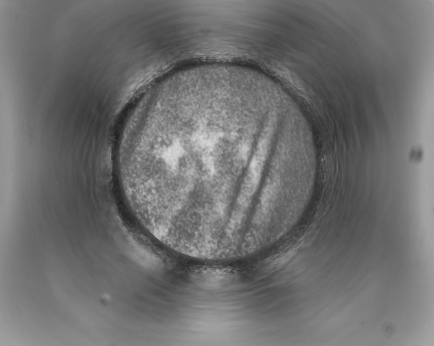 X0000089970638200707271922