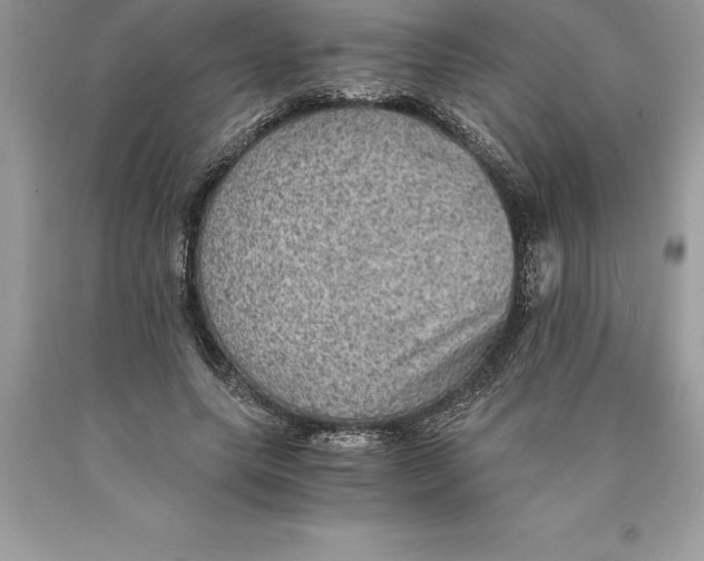 X0000089970639200707271922