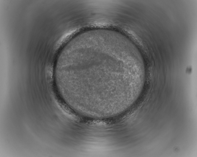 X0000089970640200707271922