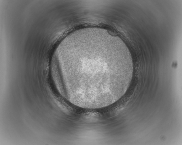 X0000089970642200707271922