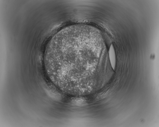 X0000089970643200707271922