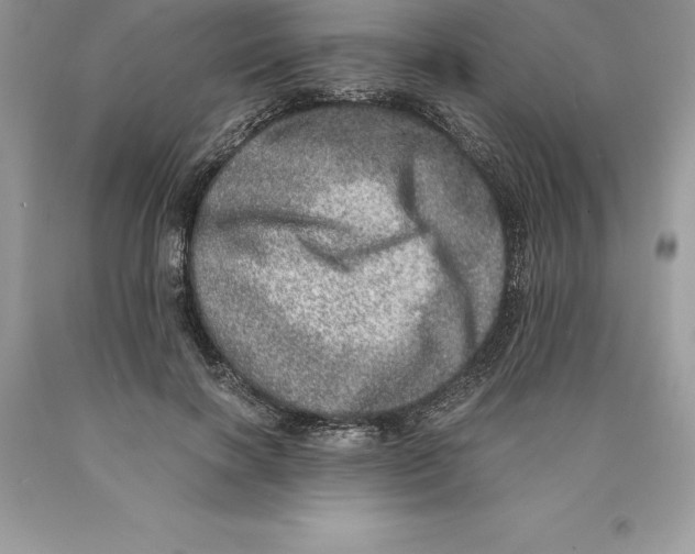 X0000089970646200707271922