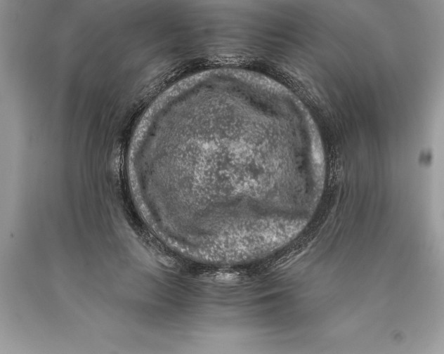 X0000089970647200707271922