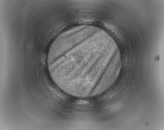 X0000089970649200707271922