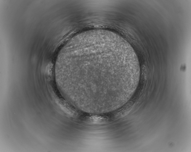 X0000089970650200707271922