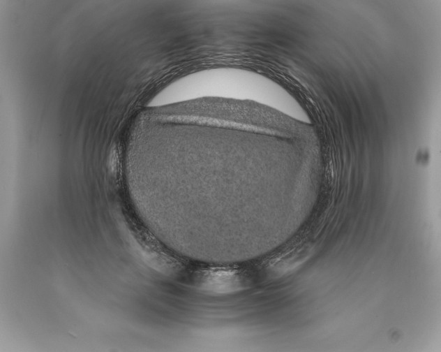 X0000089970651200707271922