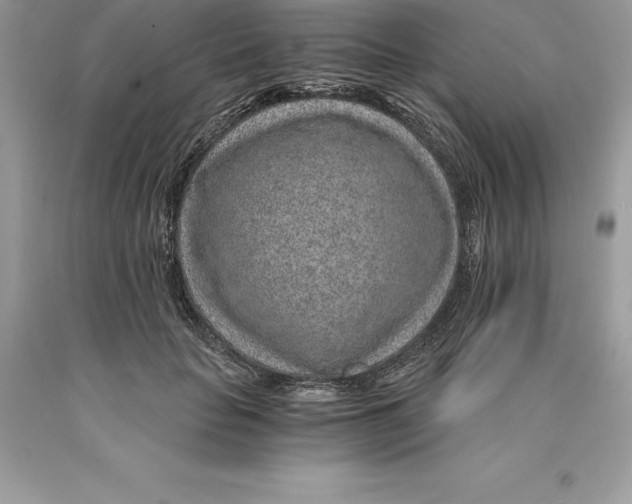 X0000089970653200707271922