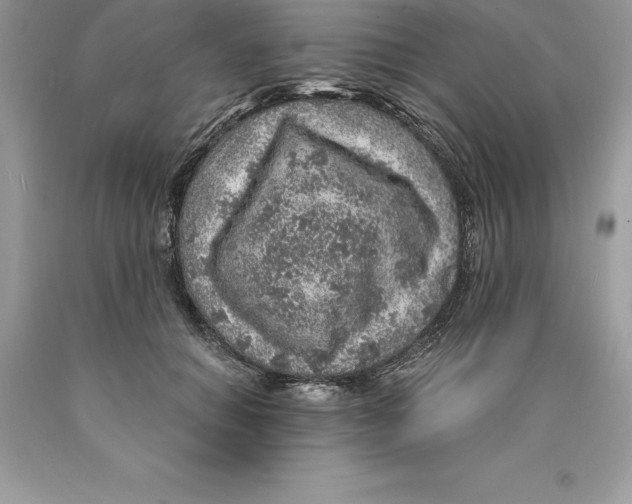 X0000089970654200707271922