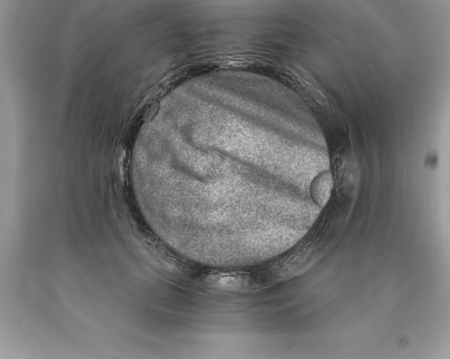 X0000089970655200707271922