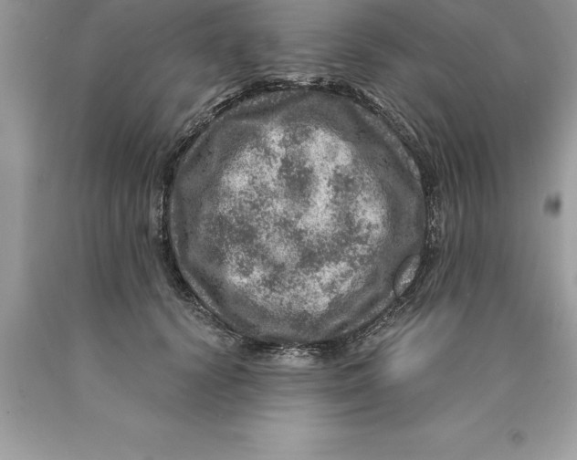 X0000089970656200707271922