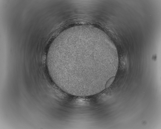 X0000089970657200707271922