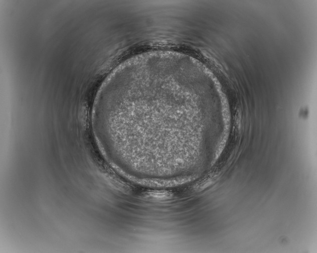 X0000089970659200707271922