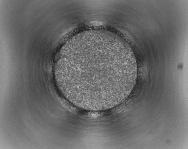 X0000089970662200707271922