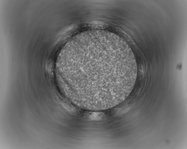 X0000089970663200707271922