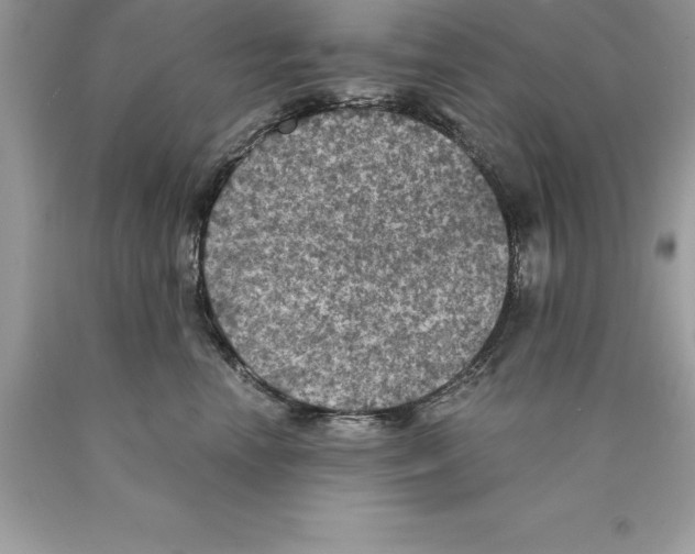 X0000089970666200707271922