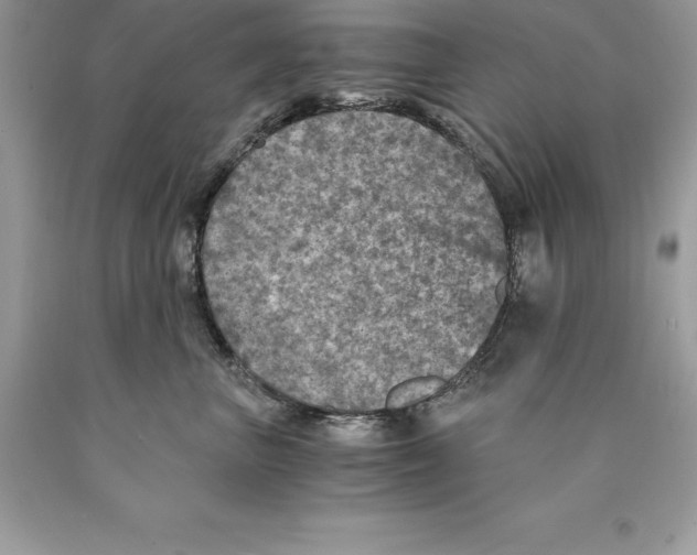 X0000089970667200707271922