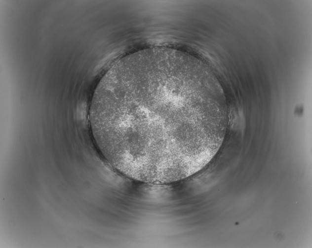 X0000089970670200707271922