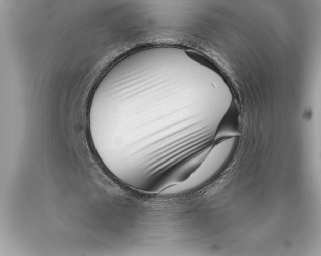 X0000089970673200707271922