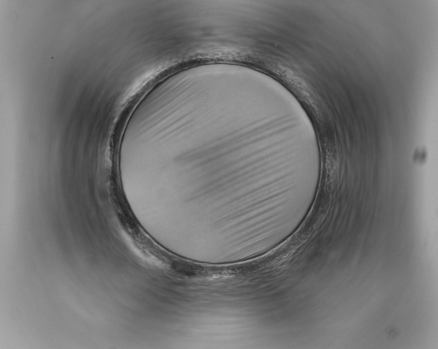 X0000089970674200707271922