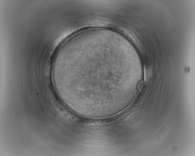 X0000089970675200707271922