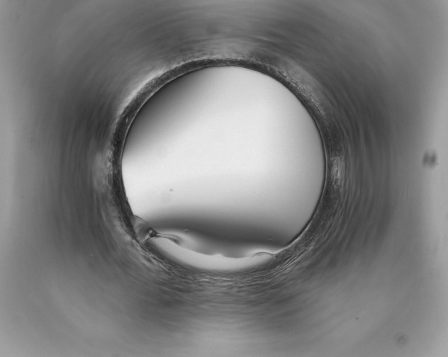 X0000089970676200707271922