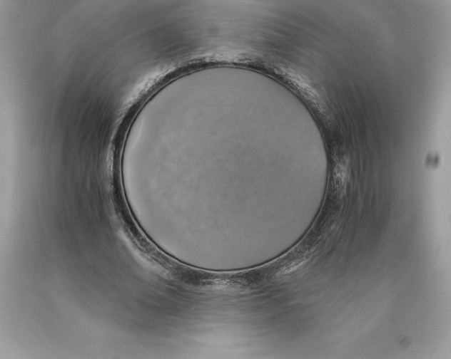 X0000089970678200707271922