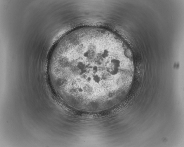 X0000089970679200707271922