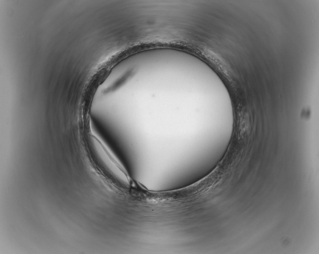 X0000089970680200707271922