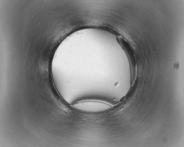 X0000089970681200707271922