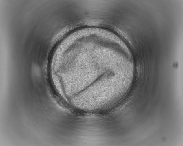 X0000089970682200707271922