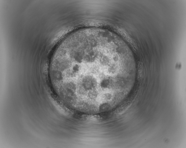 X0000089970683200707271922