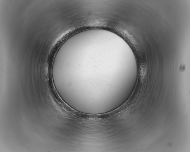 X0000089970684200707271922