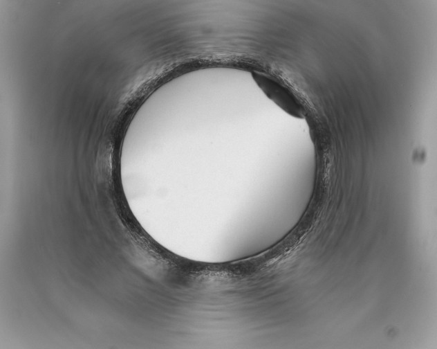 X0000089970685200707271922