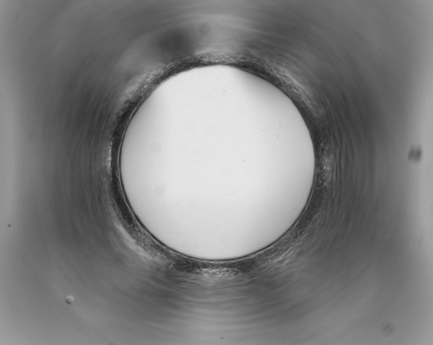 X0000089970686200707271922