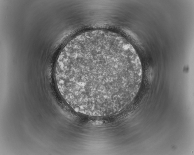 X0000089970687200707271922