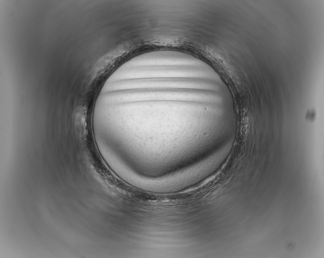 X0000089970688200707271922