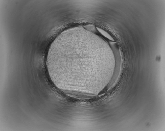 X0000089970689200707271922