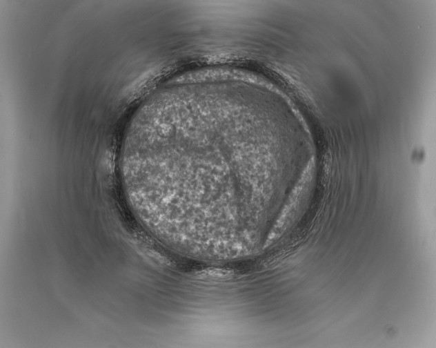 X0000089970691200707271921