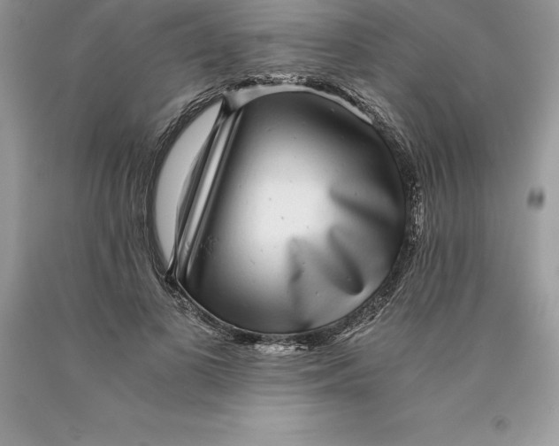 X0000089970693200707271921