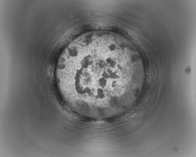 X0000089970695200707271921